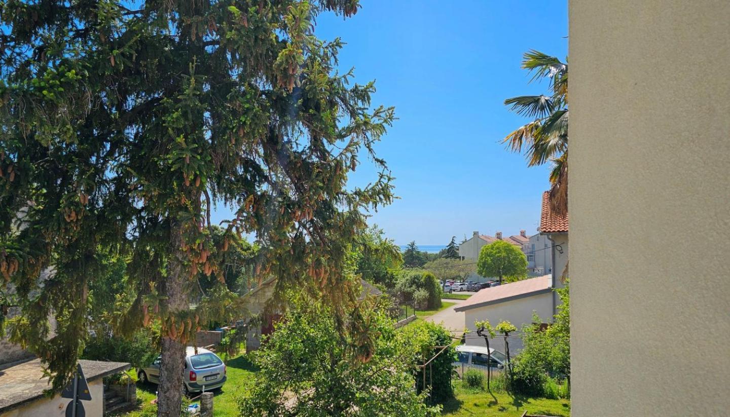 Stelia F. Apartment Novigrad  Exterior photo